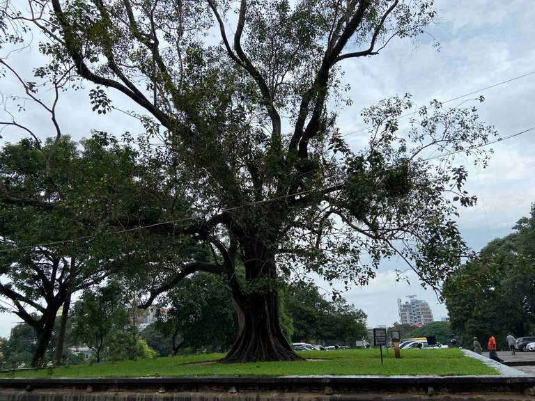 Vadakunnathan Temple