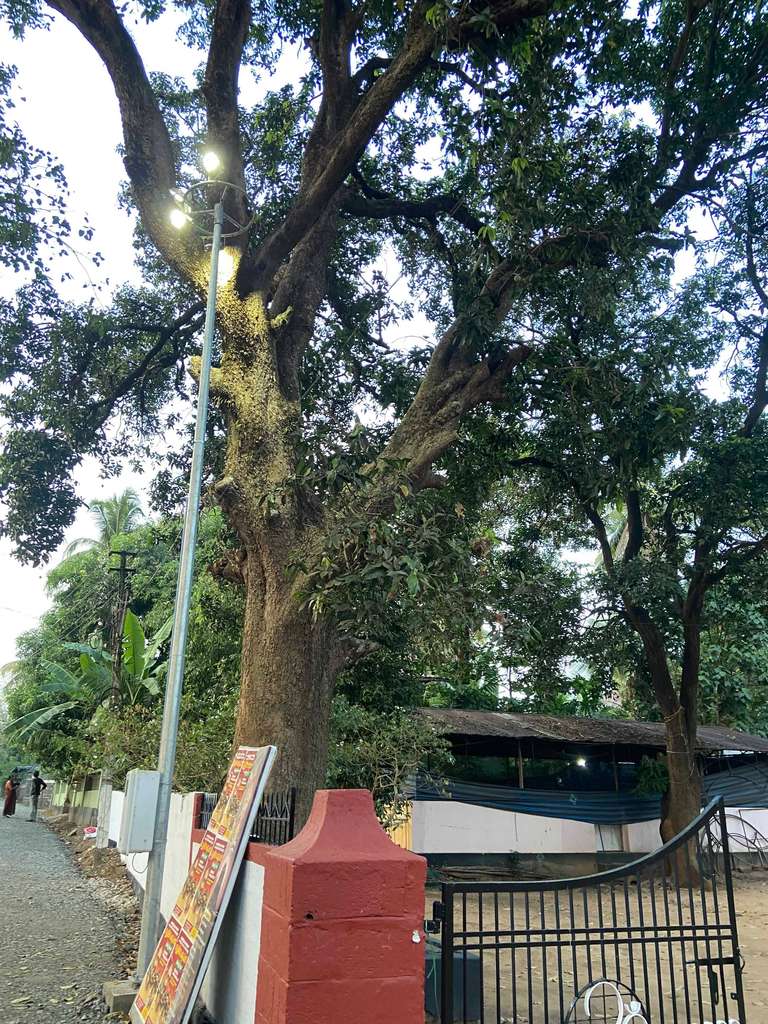 Karuthala Shiva Temple