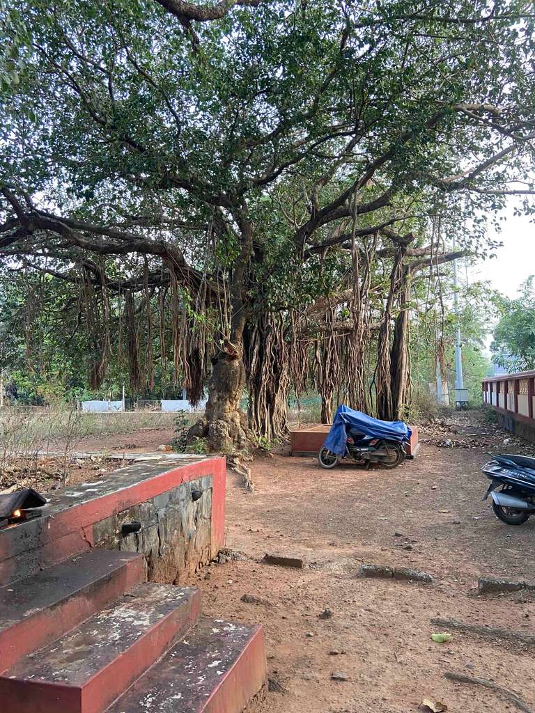 Vattappinni Devi Temple