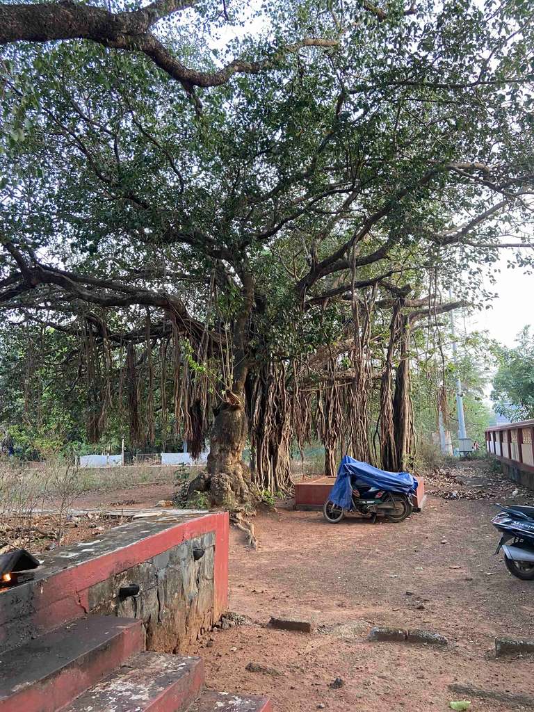 Vattappinni Devi Temple