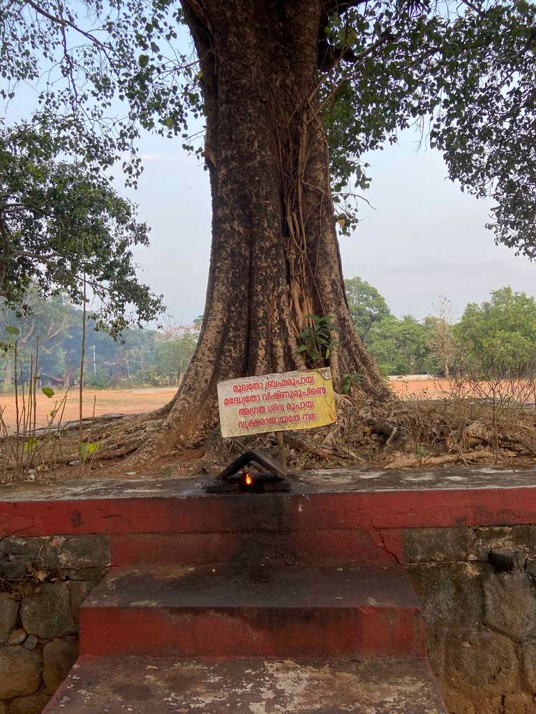 Vattappinni Devi Temple
