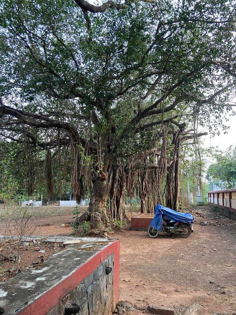 Vattappinni Devi Temple