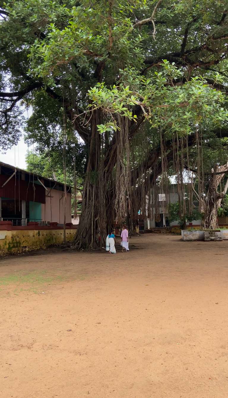 Kodungallur Sree Kurumba Bagavathi Temp