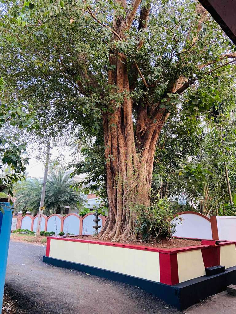 Sree Valiyalukkal Bhagavathi Temple